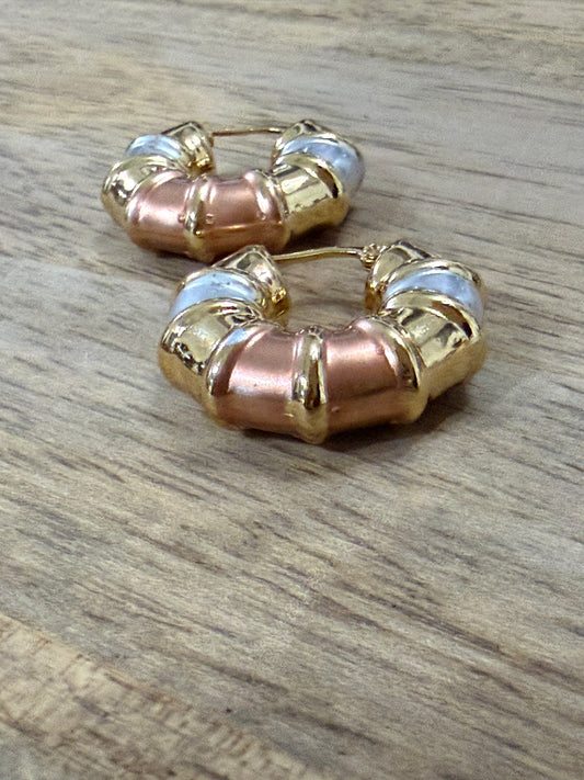 Tones Circle Earrings 2