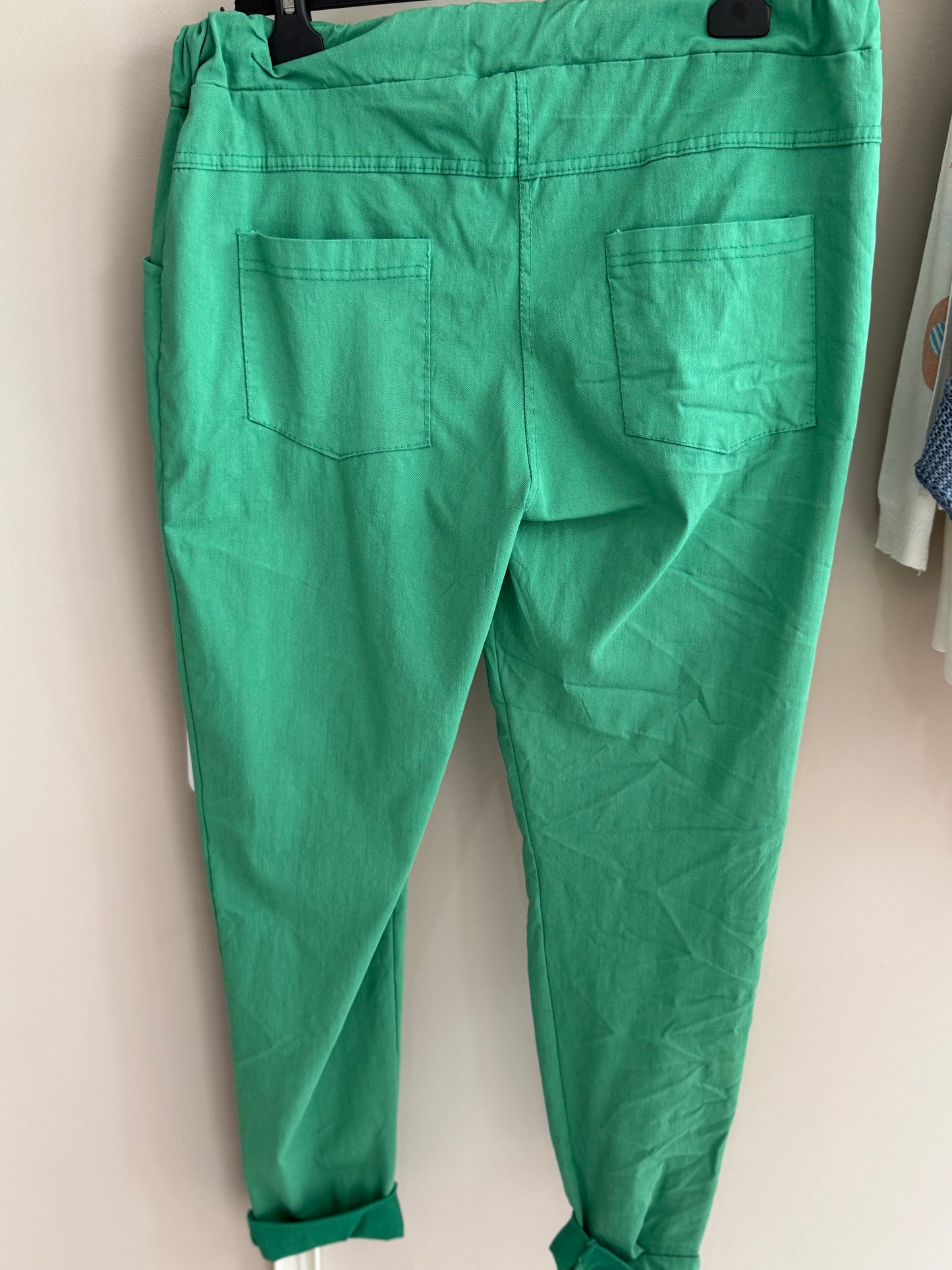 Mystical Green Pant