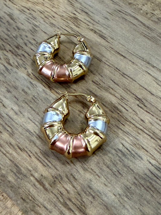 Tones Circle Earrings 2